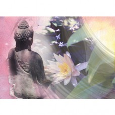 INSPIRAZIONS BY EMMA  Garden Meditation